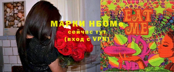 шишки Куйбышев