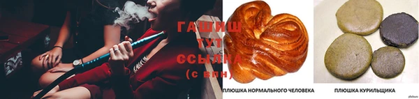 гашик Кукмор