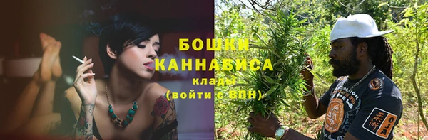 шишки Куйбышев