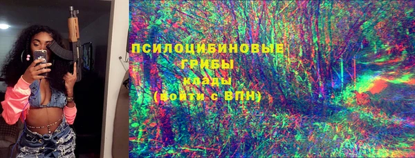 шишки Куйбышев