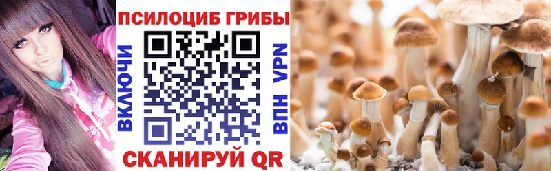 Псилоцибиновые грибы мицелий  Катайск 